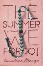 The Summer We Forgot - Preview