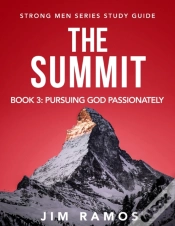 Capa do artigo The Summit
