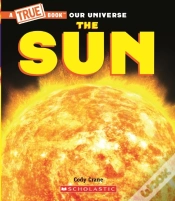 Capa do artigo The Sun