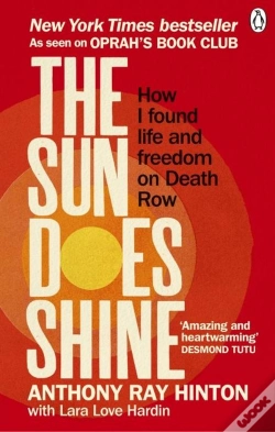Capa do artigo The Sun Does Shine