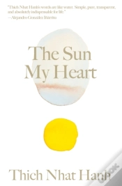 Capa do artigo The Sun My Heart