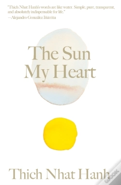 Capa do artigo The Sun My Heart
