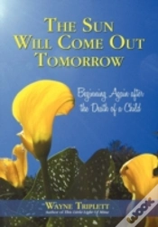 Capa do artigo The Sun Will Come Out Tomorrow