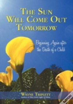 Capa do artigo The Sun Will Come Out Tomorrow