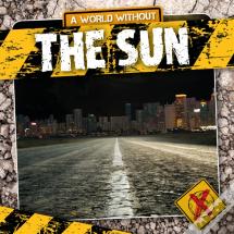 The Sun