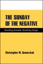 The Sunday Of The Negative - Preview