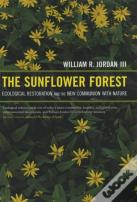 The Sunflower Forest