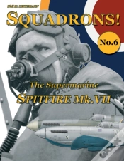 Capa do artigo The Supermarine Spitfire Mk.Vii