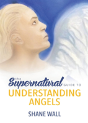 The Supernatural Guide To Understanding Angels - Preview
