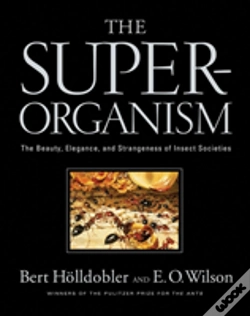 Capa do artigo The Superorganism