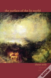Capa do artigo The Surface Of The Lit World