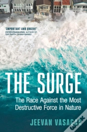 Capa do artigo The Surge