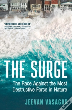 Capa do artigo The Surge