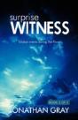 The Surprise Witness - Preview