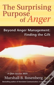 Capa do artigo The Surprising Purpose Of Anger