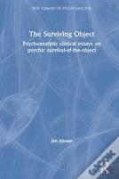 The Surviving Object