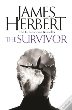 Capa do artigo The Survivor