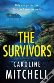 Capa do artigo The Survivors