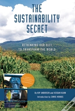 Capa do artigo The Sustainability Secret