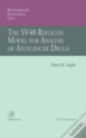 Capa do artigo The Sv40 Replicon Model For Analysis Of Anticancer Drugs