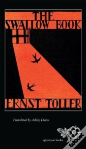 Capa do artigo The Swallow Book