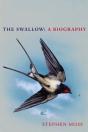 The Swallow - Preview