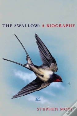 Capa do artigo The Swallow