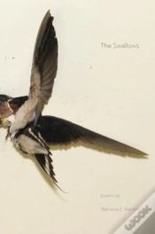 Capa do artigo The Swallows