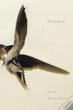Capa do artigo The Swallows