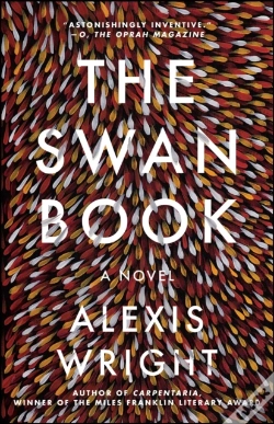 Capa do artigo The Swan Book