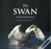 Capa do artigo The Swan