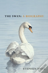 The Swan