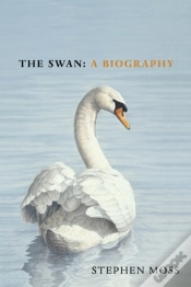 Capa do artigo The Swan