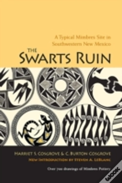 Capa do artigo The Swarts Ruin
