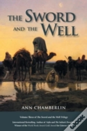Capa do artigo The Sword And The Well