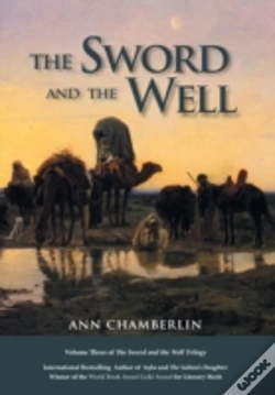 Capa do artigo The Sword And The Well