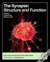 Capa do artigo The Synapse