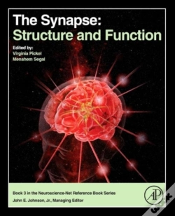 Capa do artigo The Synapse