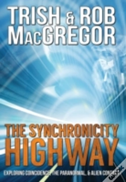 Capa do artigo The Synchronicity Highway