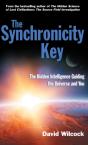 The Synchronicity Key - Preview