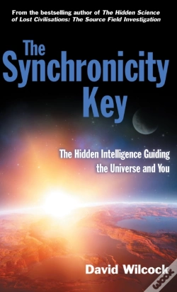 Capa do artigo The Synchronicity Key