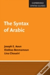 Capa do artigo The Syntax Of Arabic