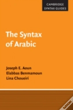 Capa do artigo The Syntax Of Arabic