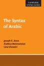 The Syntax Of Arabic - Preview