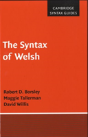 The Syntax Of Welsh - Preview