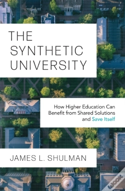 Capa do artigo The Synthetic University