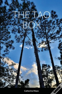 Capa do artigo The Tao Box