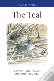 Capa do artigo The Teal