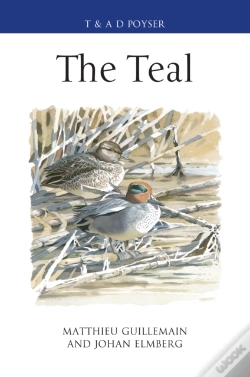 Capa do artigo The Teal