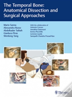 Capa do artigo The Temporal Bone